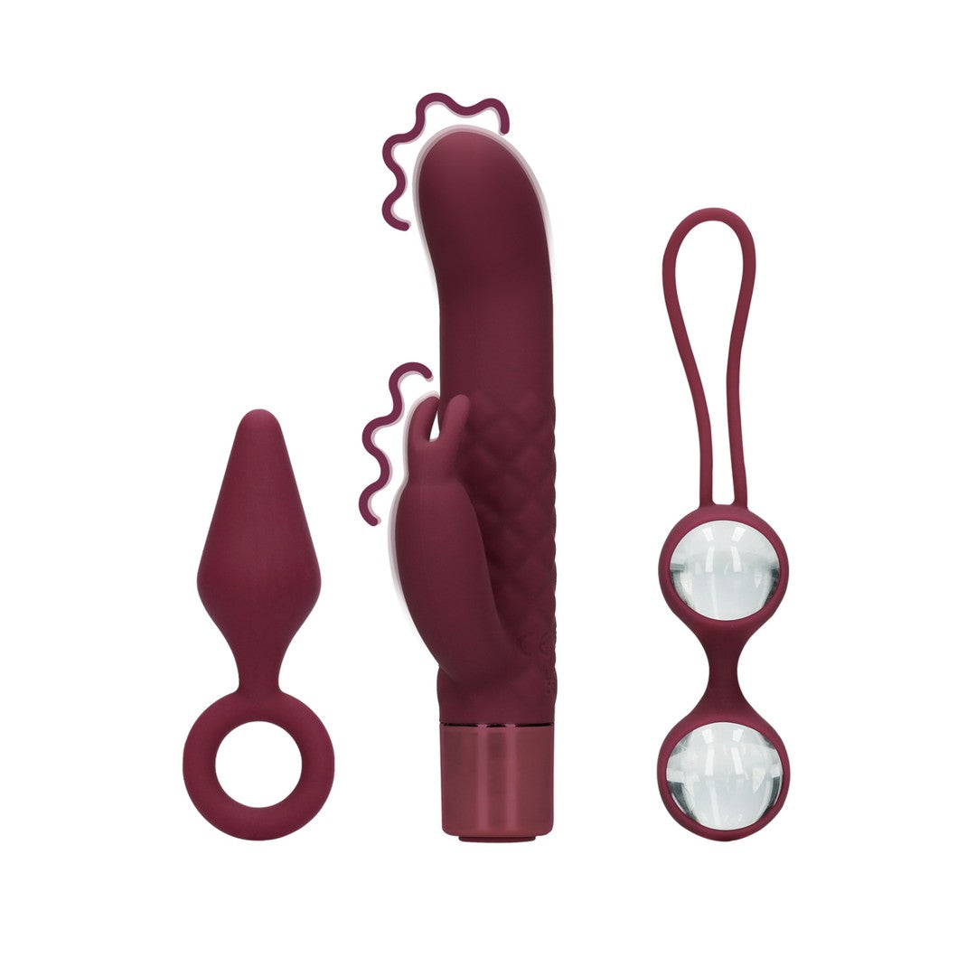 Toy Kit for her with 3 Vibrators (S)explore, Dark Cherry - Shots