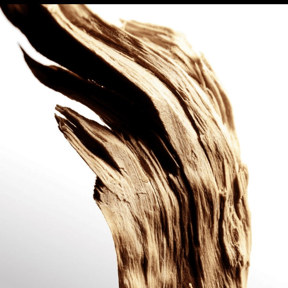 Sandalwood Vanilla Diffuser 100 ml

Αρωματικά Χώρου